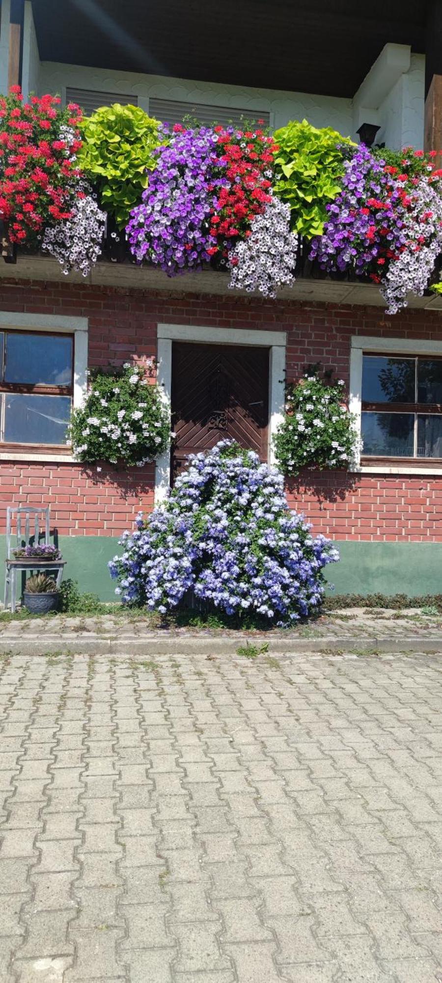 Gaestehaus Fechtig Hergensweiler Exterior foto